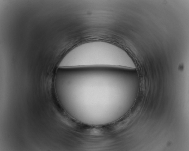 X0000103430412200809121042