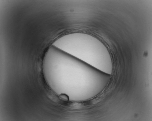 X0000103430413200809121042