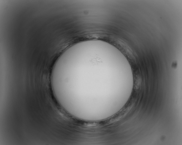 X0000103430414200809121042