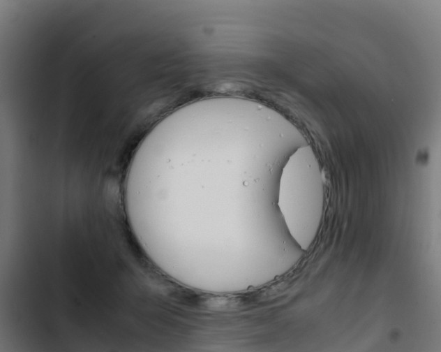 X0000103430415200809121041