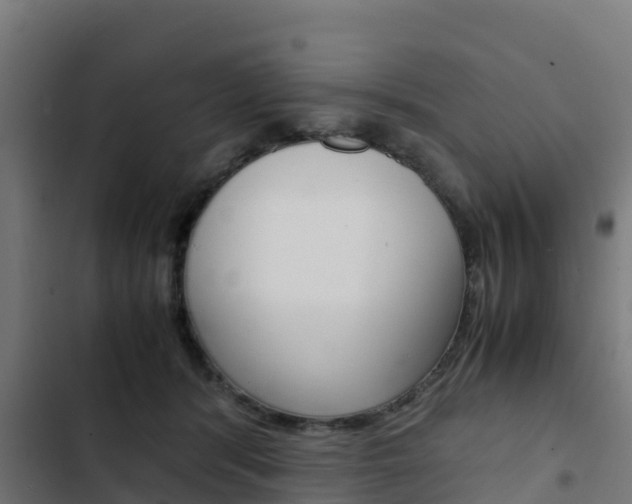 X0000103430416200809121041