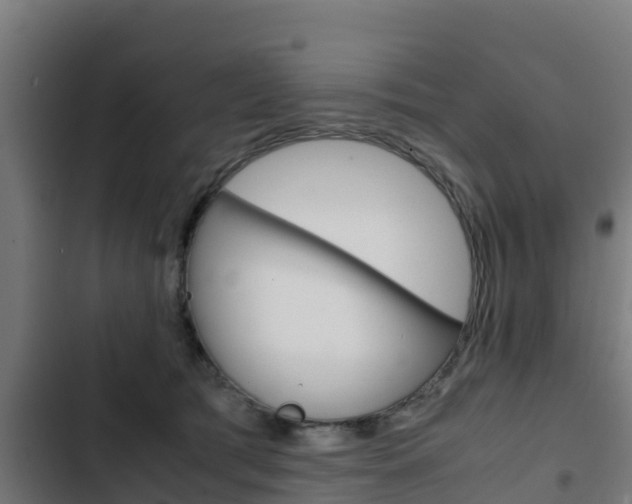 X0000103430417200809121041
