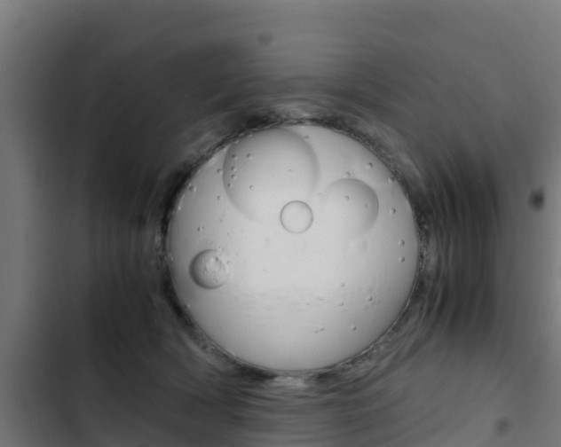 X0000103430418200809121041