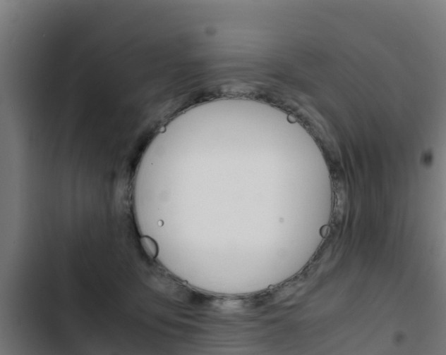 X0000103430419200809121041