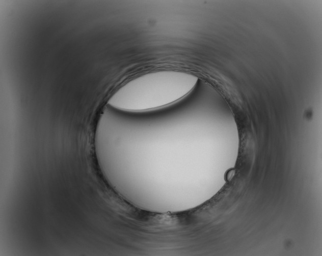 X0000103430421200809121041