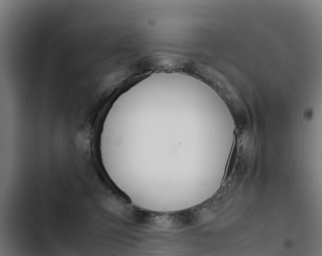 X0000103430423200809121041