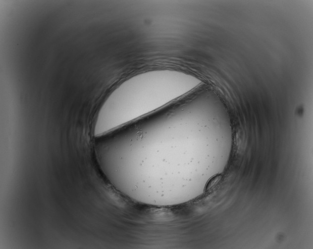 X0000103430424200809121041