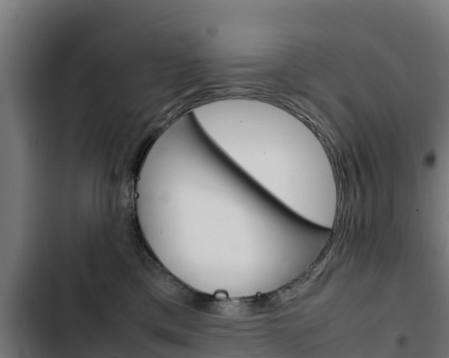 X0000103430425200809121041