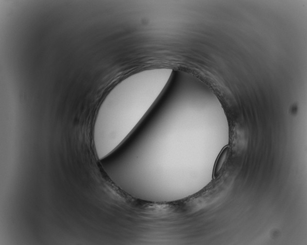 X0000103430428200809121041