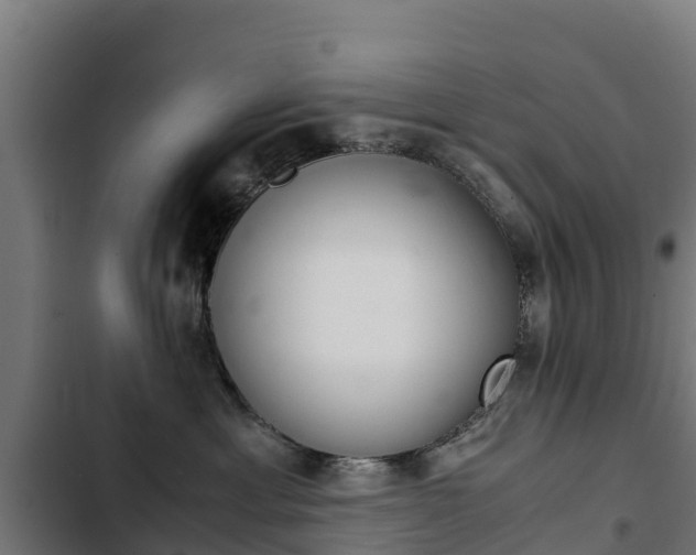 X0000103430429200809121041