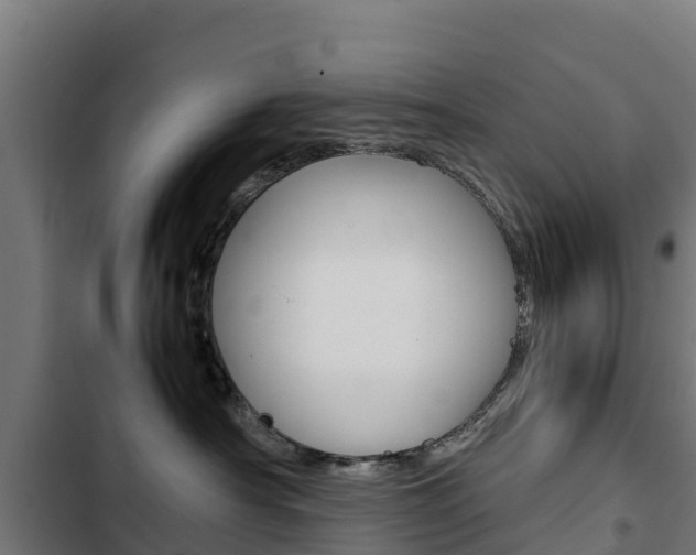 X0000103430430200809121041