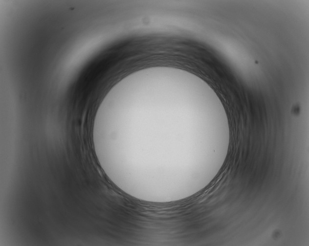 X0000103430431200809121041