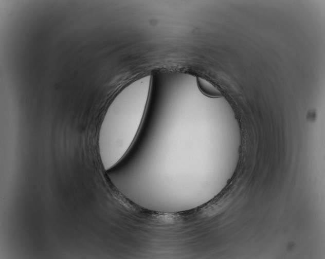 X0000103430432200809121041