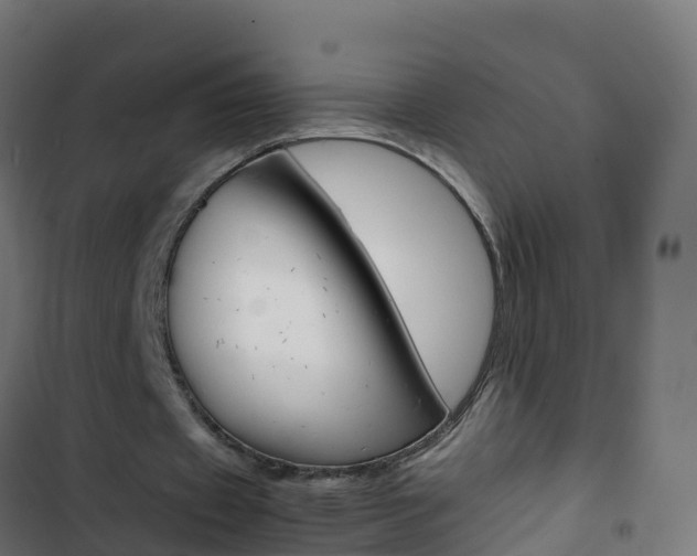 X0000103430433200809121041
