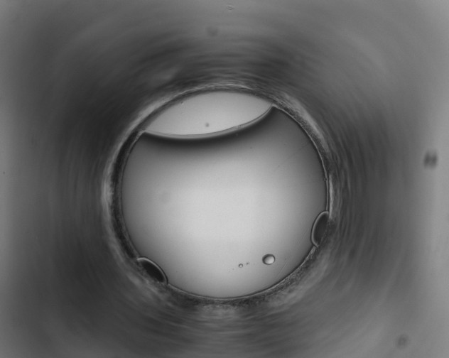 X0000103430435200809121041