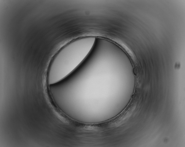 X0000103430437200809121041