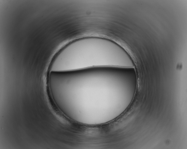X0000103430438200809121041