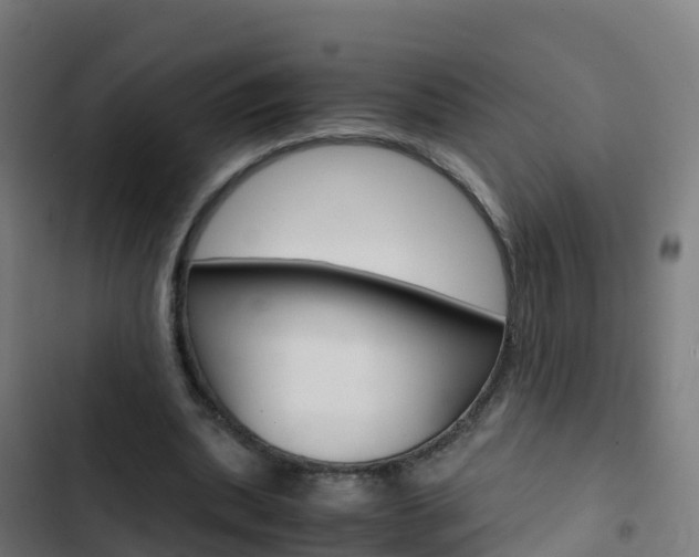 X0000103430439200809121041