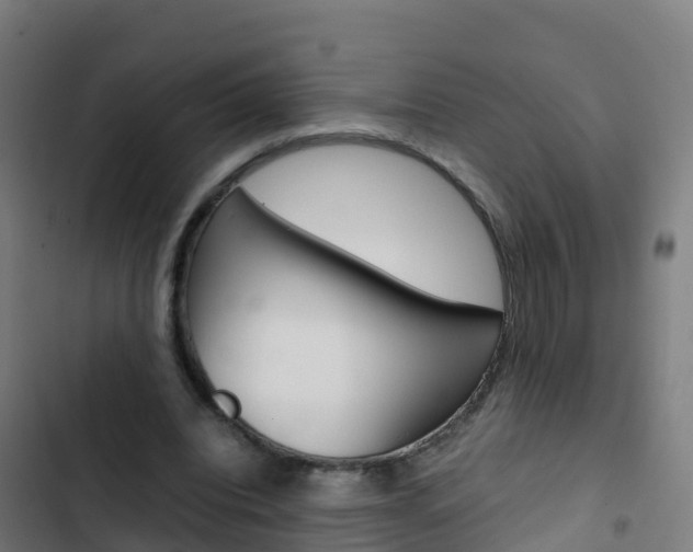 X0000103430440200809121041