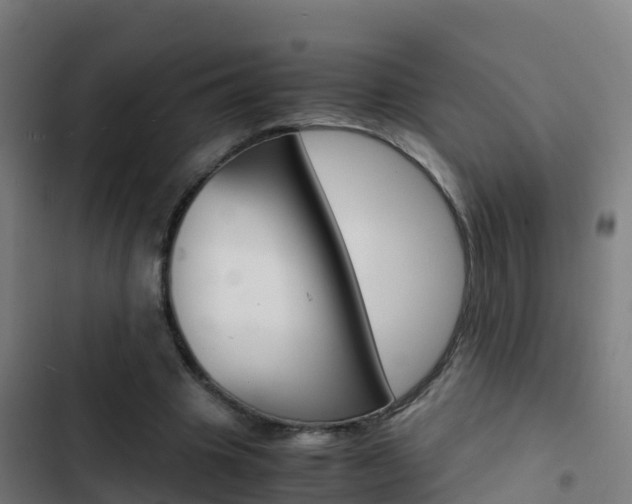 X0000103430441200809121041