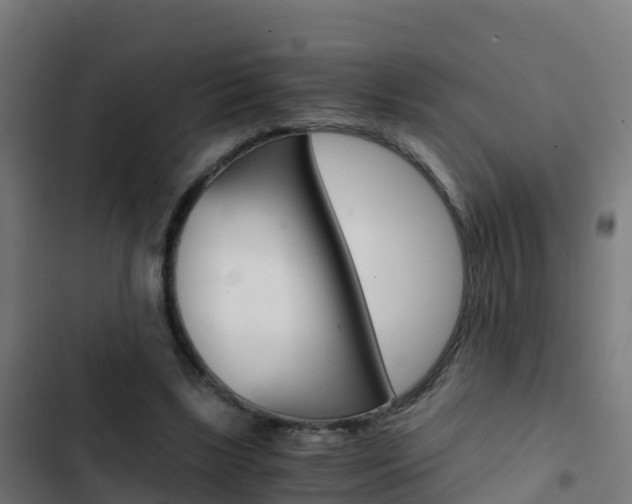 X0000103430443200809121041