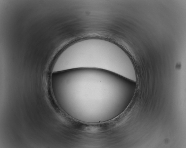 X0000103430444200809121041
