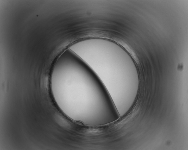 X0000103430445200809121041