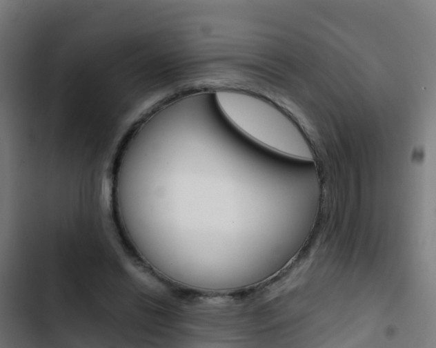 X0000103430446200809121041