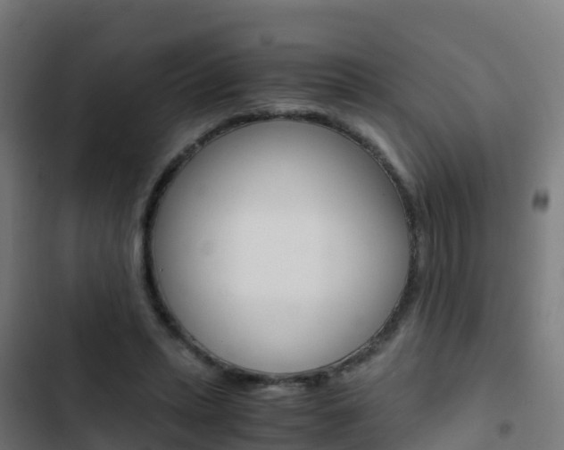 X0000103430447200809121041