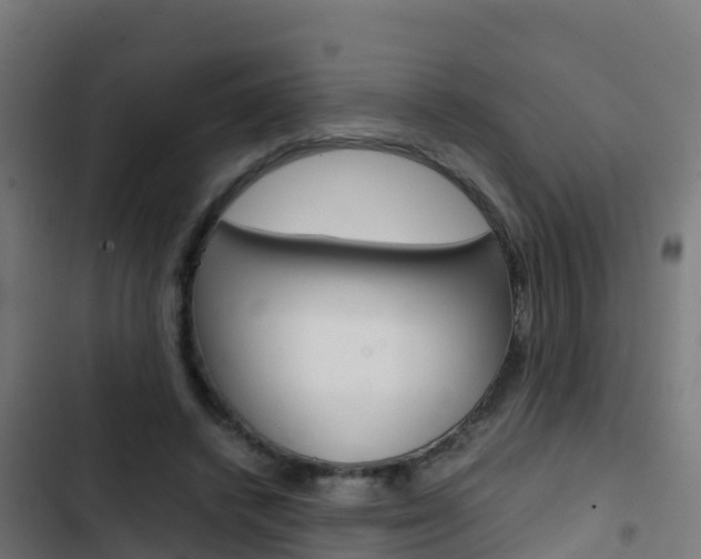 X0000103430448200809121041