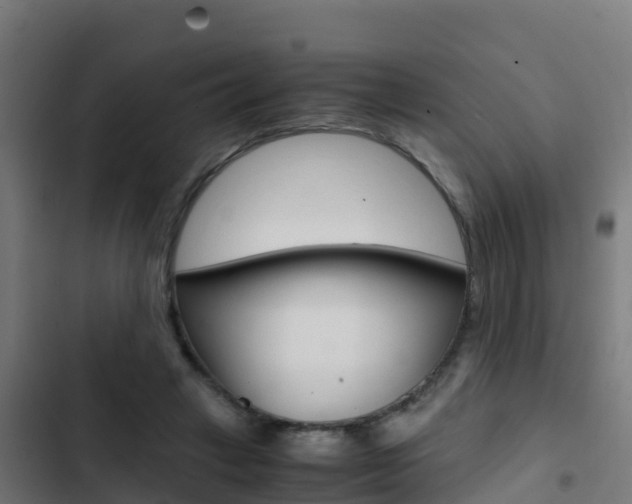 X0000103430449200809121041