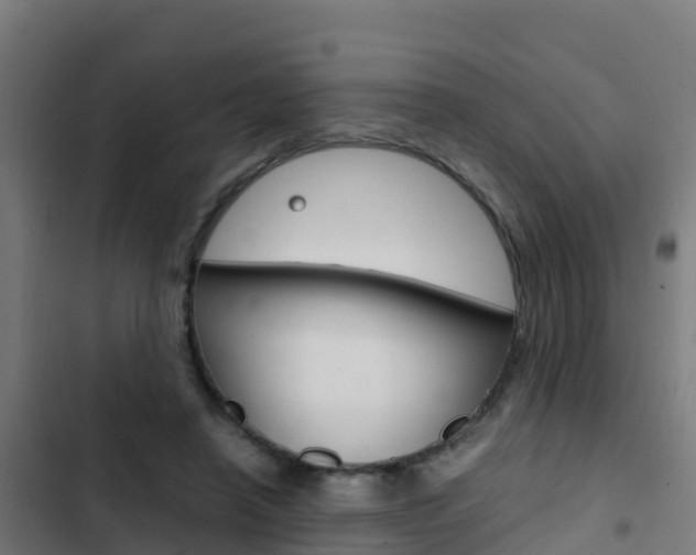 X0000103430450200809121041
