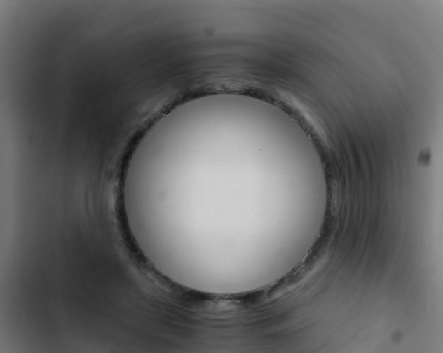 X0000103430451200809121041