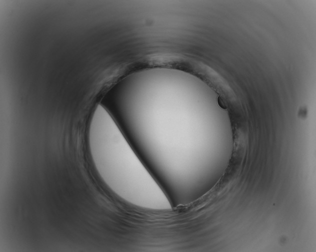 X0000103430452200809121041