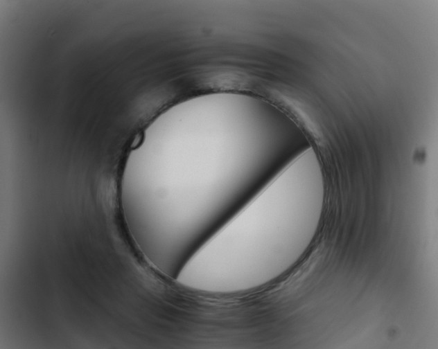 X0000103430453200809121041