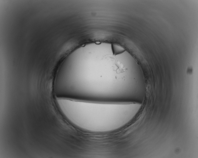 X0000103430454200809121041