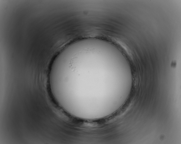 X0000103430455200809121041