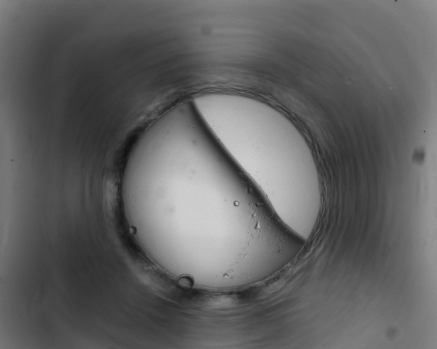 X0000103430456200809121041