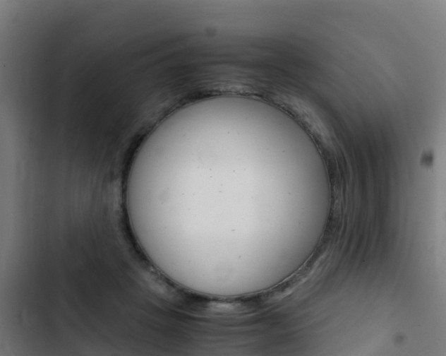 X0000103430457200809121041