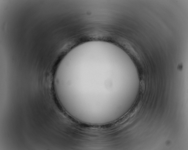 X0000103430458200809121041