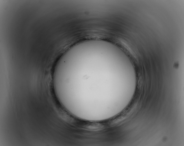 X0000103430459200809121041