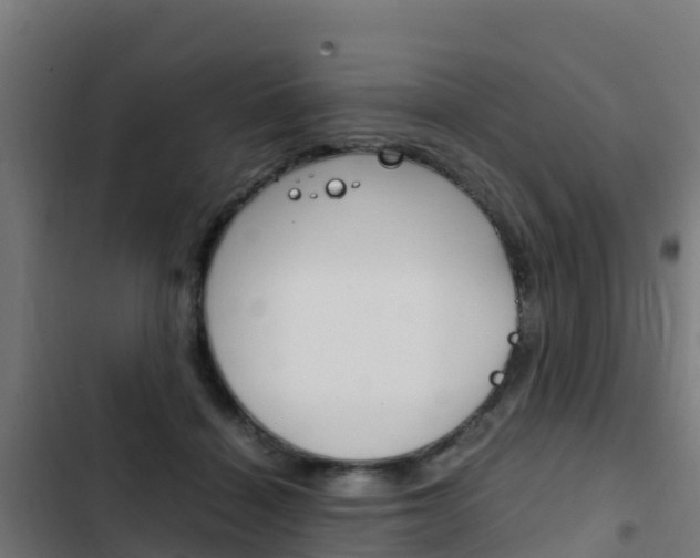 X0000103430460200809121041