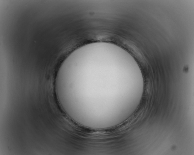 X0000103430461200809121041