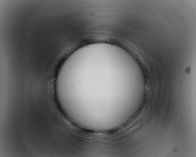 X0000103430462200809121041