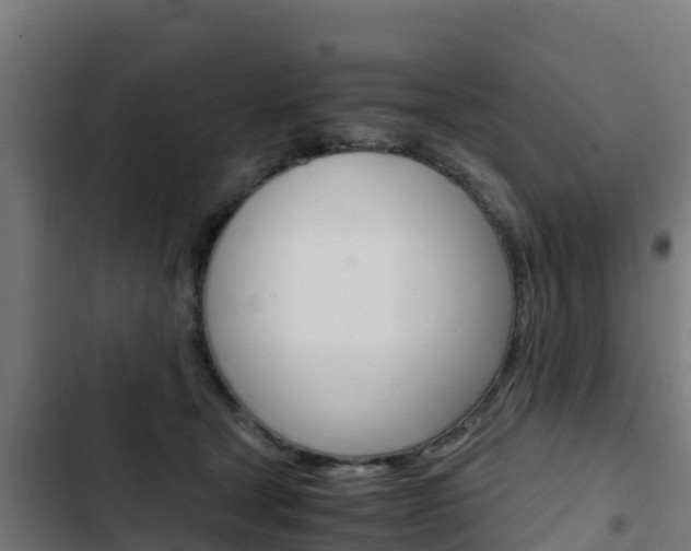 X0000103430465200809121041