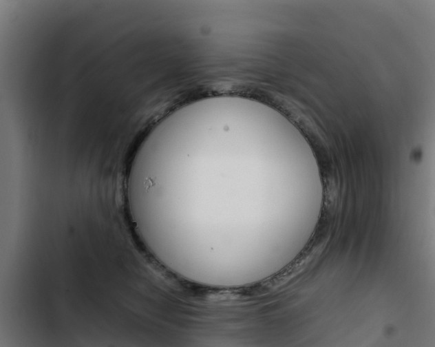 X0000103430470200809121041