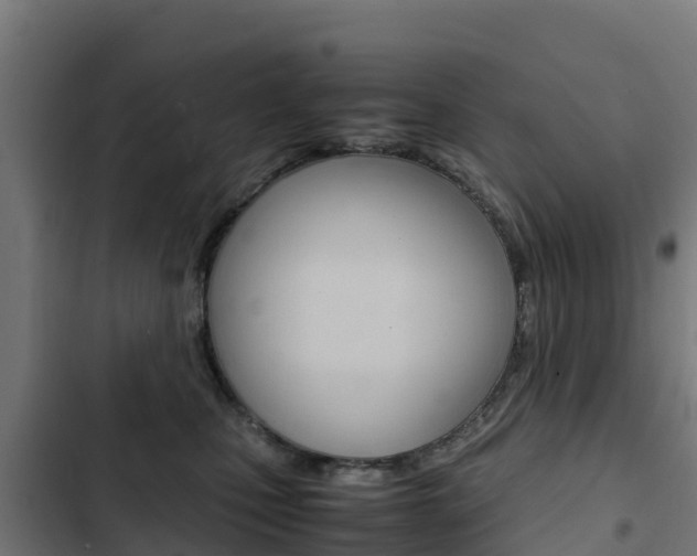 X0000103430471200809121041