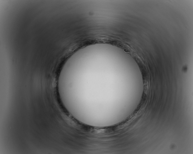 X0000103430472200809121041