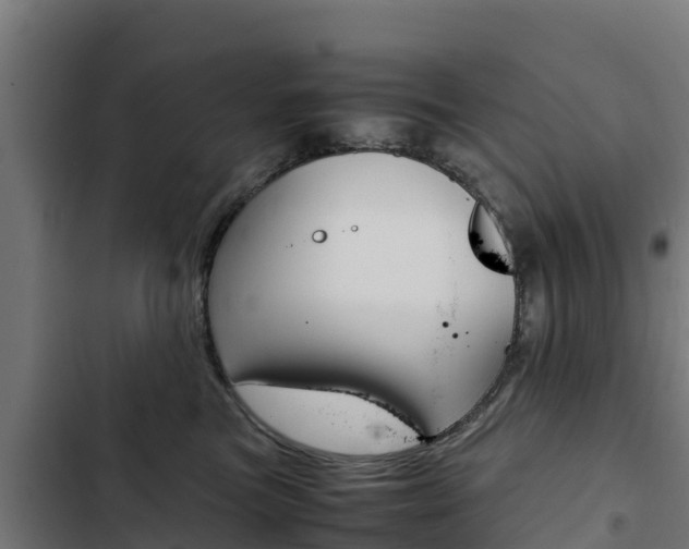 X0000103430473200809121041