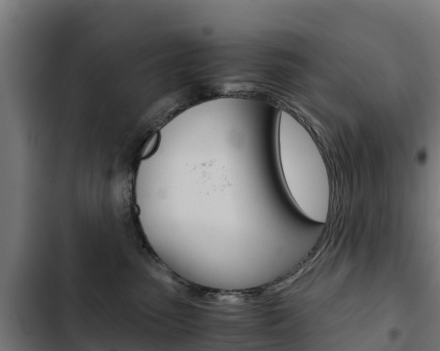 X0000103430475200809121041